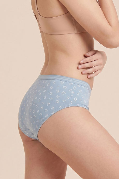 Zivame Regular Rise Full Coverage Hipster Panty (Pack of 3) - Multicolor — image 11